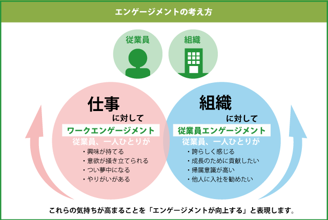 エンゲージメントを正しく知り、意義ある強化を : エンゲージメントサーベイ – IFBC